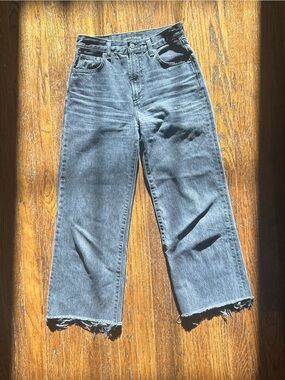 Aritzia Denim Forum The Farrah Hi-Rise Wide Leg Jeans Gray 24 Fairy Grunge